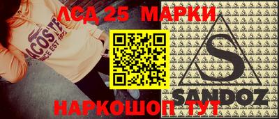 a pvp Славгород