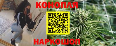 стафф Сланцы