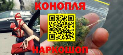 a pvp Славгород