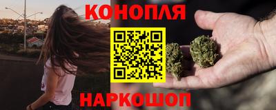 a pvp Славгород