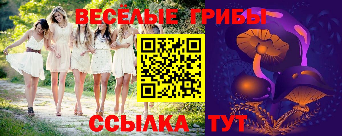 Псилоцибиновые грибы Magic Shrooms  Вход с VPN  как найти   Таганрог 
